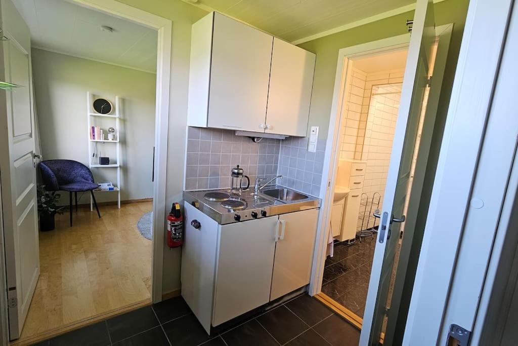 Hybel Med Naerhet Til Alt Apartment